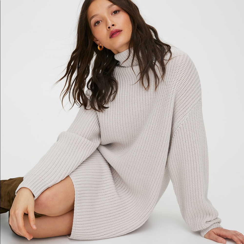 Aritzia Montpellier Sweater Dress